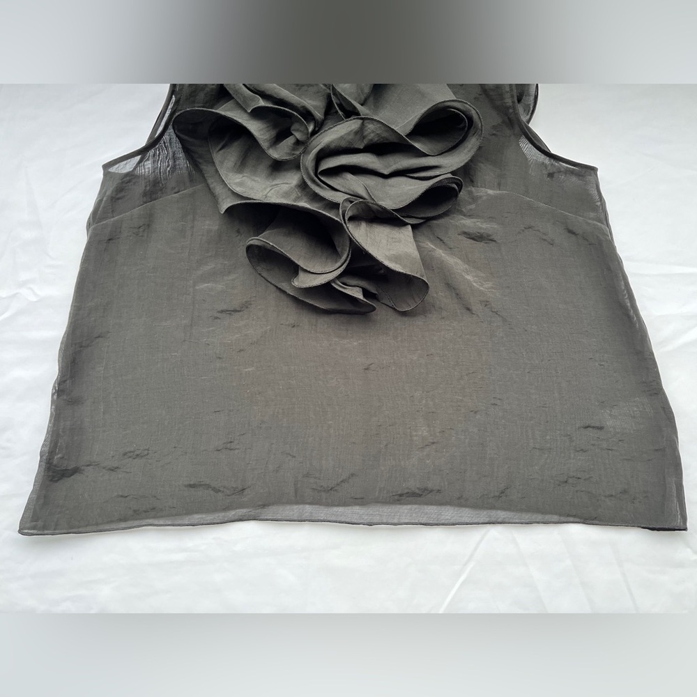 H&M | Sheer Ruffle Sleeveless Top - Picture 8 of 16